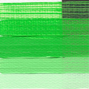 1558 HB Light GreenBS s3