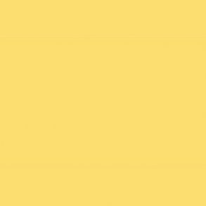0159 Cadmium Yellow Light Hue