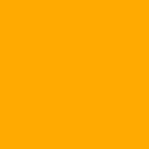 163 Cadmium Yellow Deep Hue