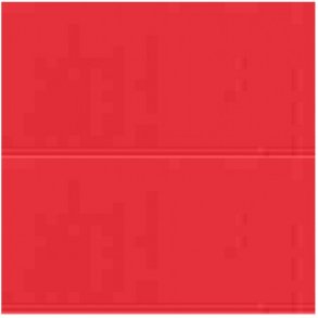 251 Permanent Red Light