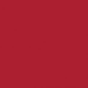 311 Cadmium Red Deep Hue
