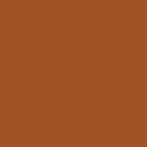 330 Raw Sienna