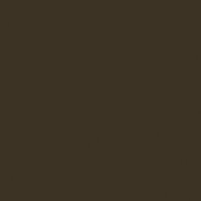 331 Raw Umber