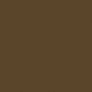 331 Raw Umber