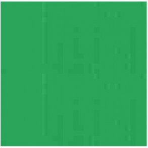 339 Permanent Green Light