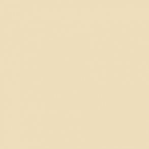 434 Unbleached Titanium