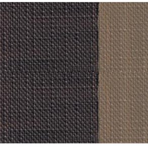 493 Raw Umber