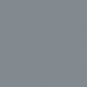 5599 Neutral Gray 5