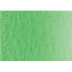 1193 Permanent Grn gullig