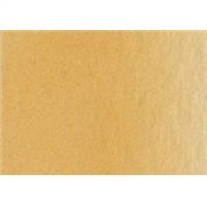 1039 Raw Sienna