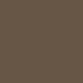 6331 Raw Umber 6