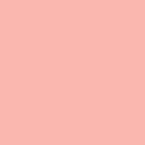 6510 Cadmium Red Light Hue 6
