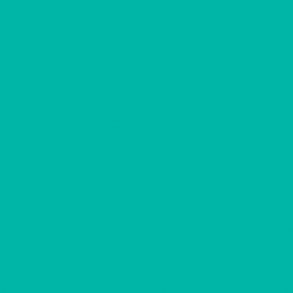 660 Bright Aqua Green