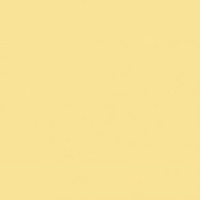 981 Fluorescent Yellow