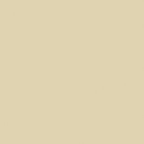 7331 Raw Umber 7