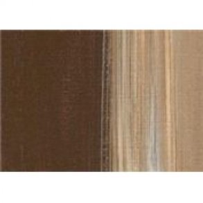 0110 Raw Umber