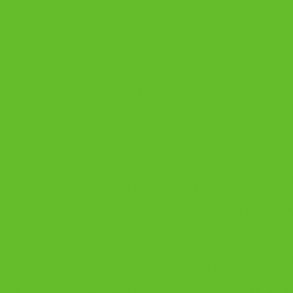 740 Vivid Lime Green