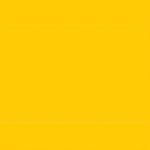 830  Cadmium Yellow Medium Hue