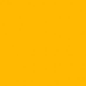 830 Cadmium Yellow Medium Hue